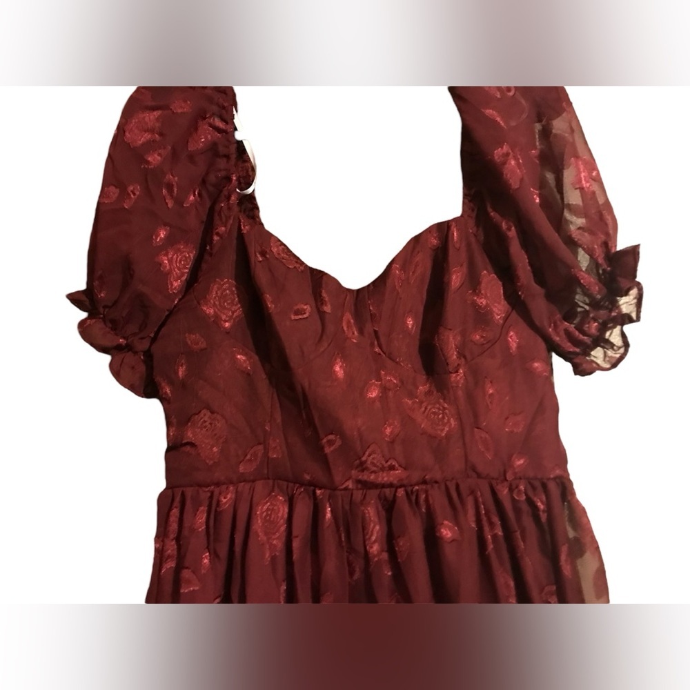 Phenomenal Sweetness Burgundy Floral Burnout Bustier Maxi Dress - Picture 7 of 11